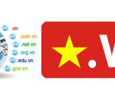 tìm hiểu tên miền .vn