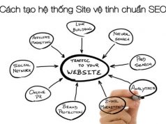 quy trình xây dựng website vệ tinh