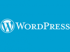 chủ đề wordpress là gì