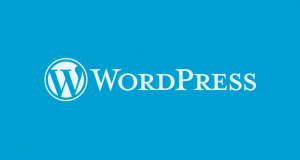 chủ đề wordpress là gì