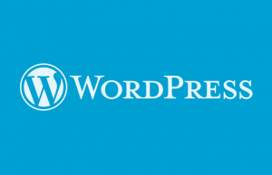 chủ đề wordpress là gì