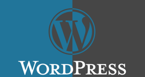 lịch sử hình thành phát triển wordpress