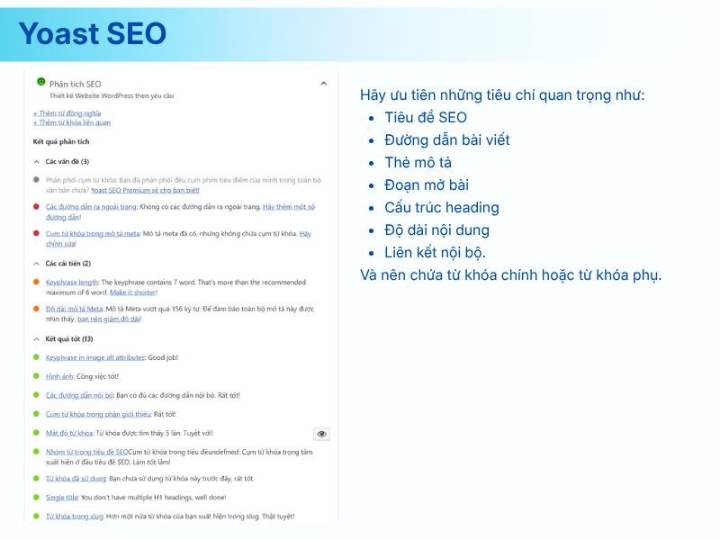 Đọc và tối ưu mục “Phân tích SEO” – săn đèn xanh đúng cách